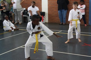 IMG 7070