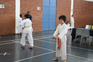 IMG 7078
