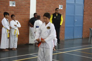 IMG 7081