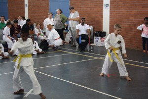 IMG 7083
