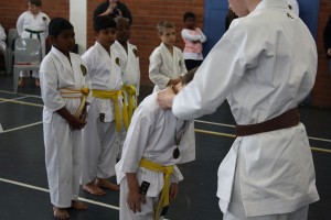 IMG 7086