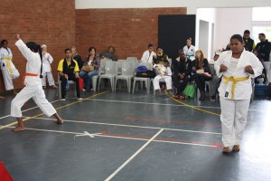 IMG 7096