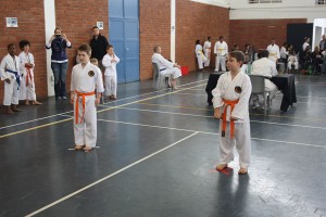 IMG 7103