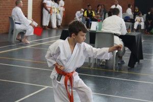 IMG 7106