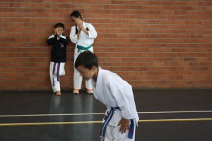 IMG 7131