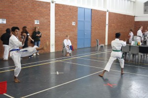 IMG 7138