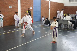 IMG 7147