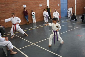 IMG 7148