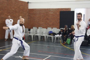 IMG 7150