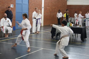 IMG 7157