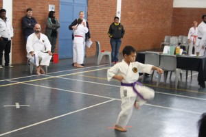 IMG 7158