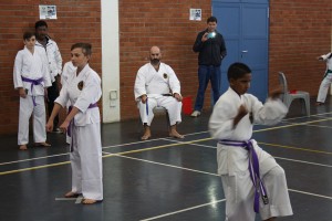 IMG 7163