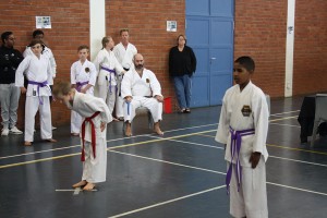 IMG 7164