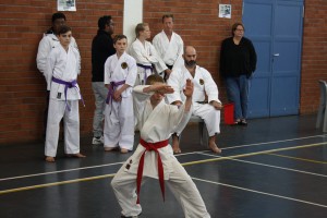 IMG 7165
