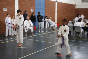 IMG 7167