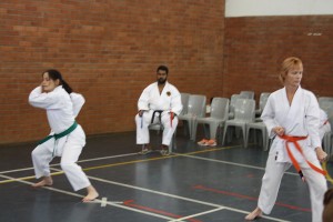 IMG 7169