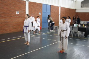 IMG 7176