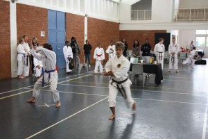 IMG 7177