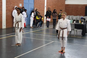 IMG 7183