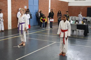 IMG 7184