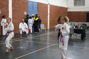 IMG 7185