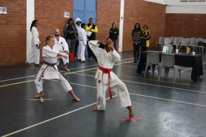 IMG 7188