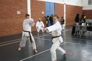 IMG 7194