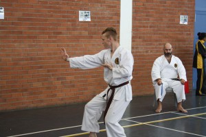IMG 7195